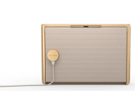 Bang & Olufsen Przenośny głośnik Beosound Level Gold Tone Alu/Light Oak - 718488 - zdjęcie 6
